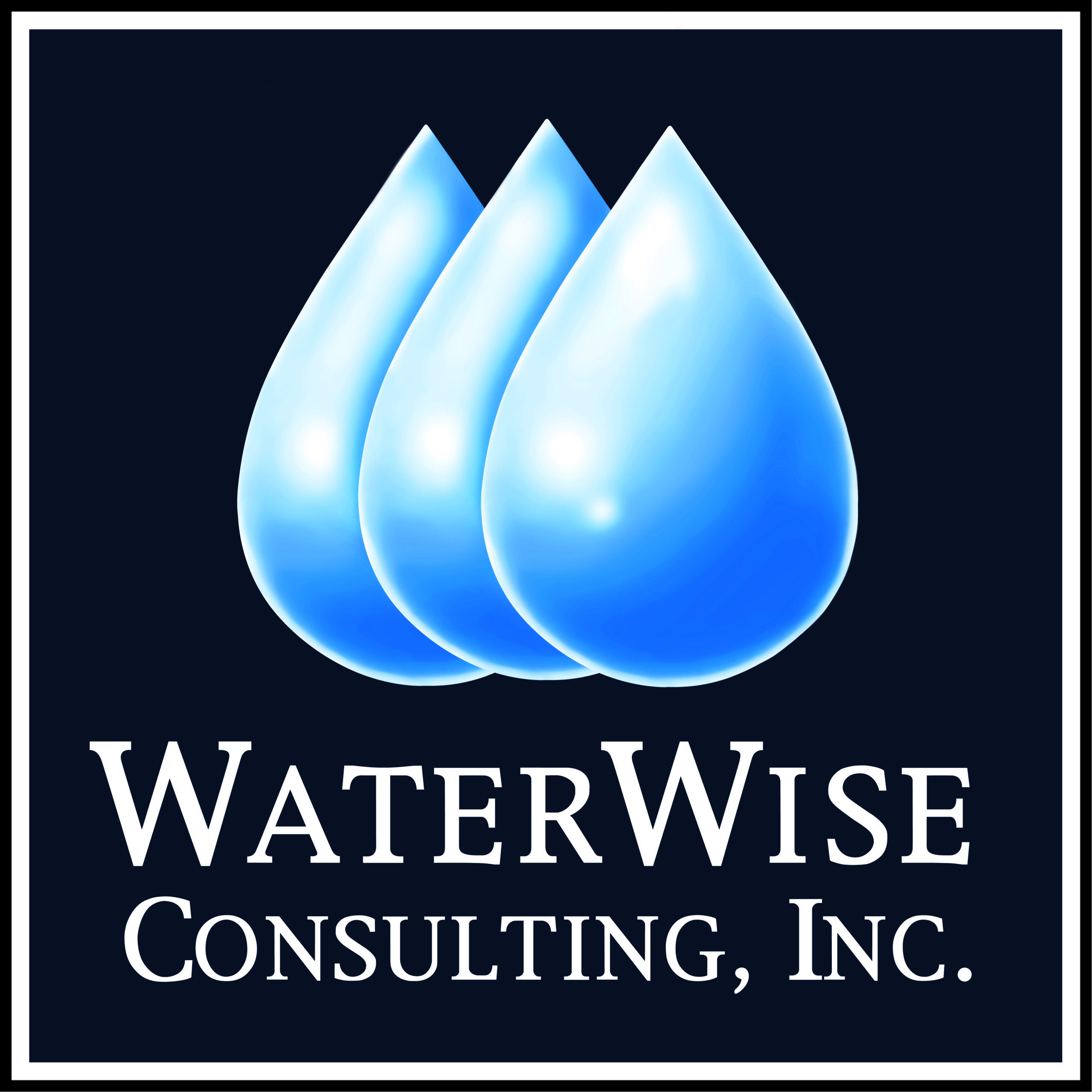 waterwise consulting
