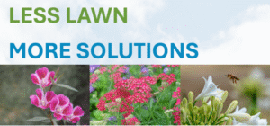 Nonfunctional Turf Training - Elsinore Valley Water District