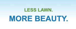Nonfunctional Turf Training - Elsinore Valley Water District