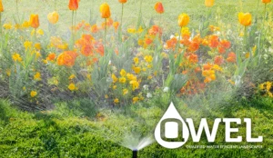 QWEL - CalWEP Member Training