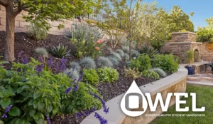 QWEL (English) - Solano County