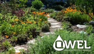 QWEL - CalWEP Member Training